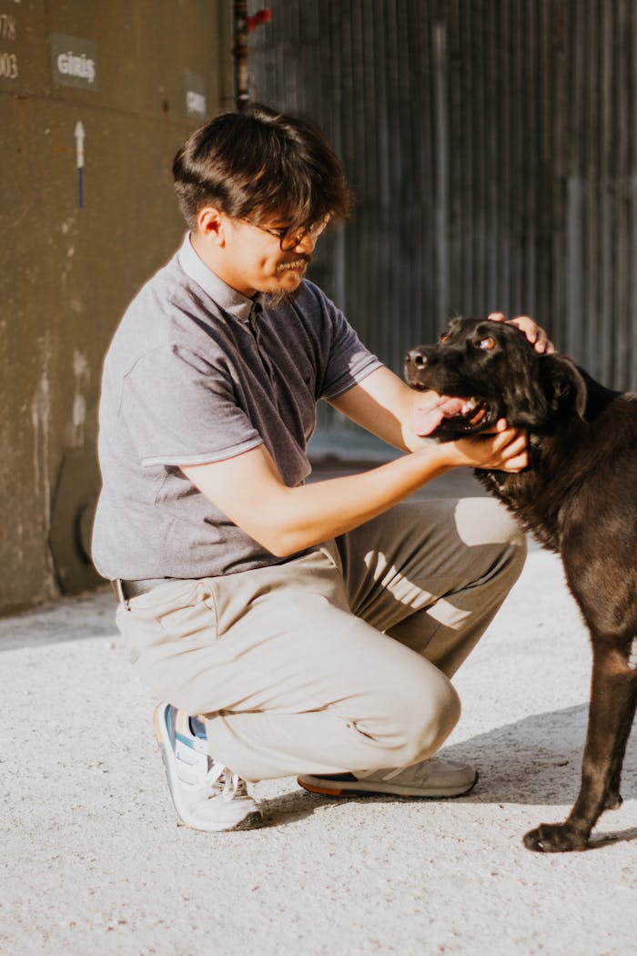 Mastering the First Impression: Your intriguing post title goes here A young man enjoys a sunny day outdoors as he lovingly pets a black dog, capturing a moment of friendship.