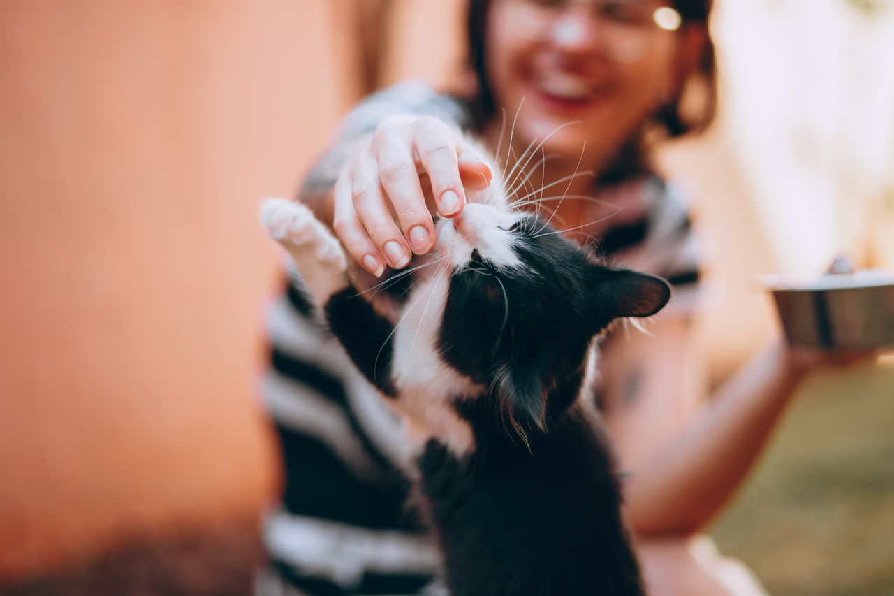 who-we-are A joyful woman petting a friendly black and white cat outdoors on a sunny day.