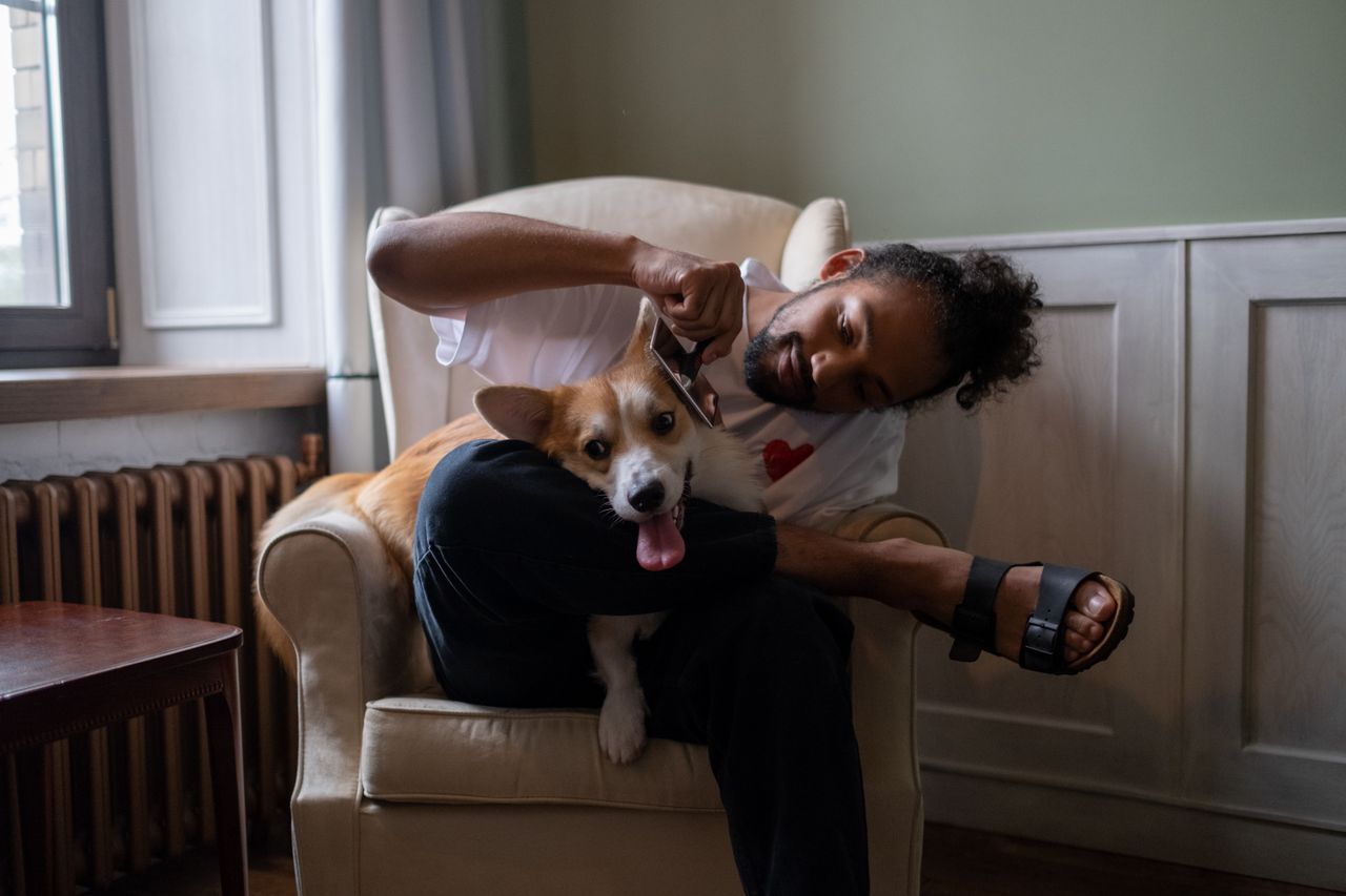 our-story A man lovingly combs his corgi while sitting in an armchair at home, showcasing pet care and affection.